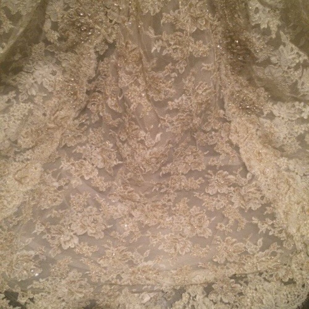 Lazaro - Custom Wedding Dress - Worn once and professionally dry cleaned